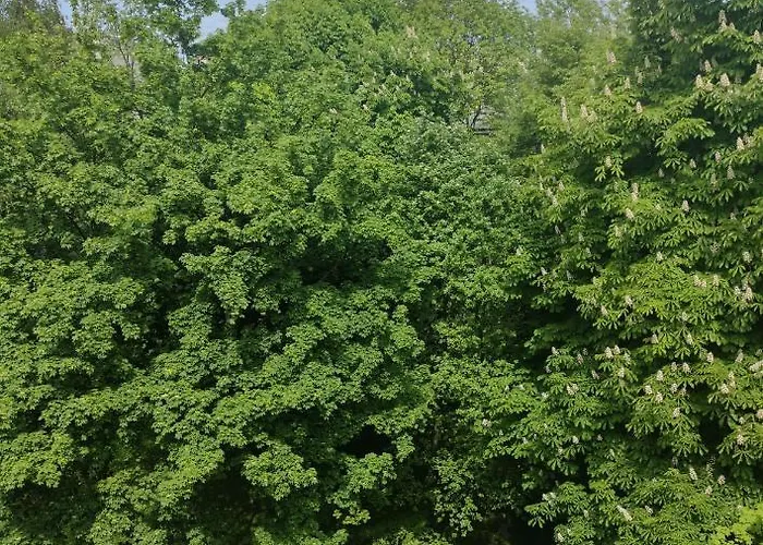 Quiet In The Old Town Apartman