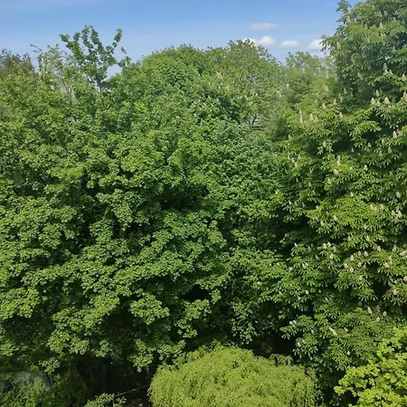 Quiet In The Old Town Apartament